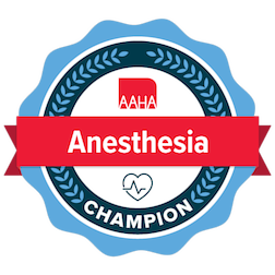 Badge with text: AAHA Anesthesia Champion