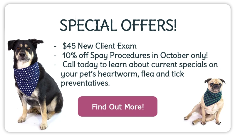 Special Offers! Learn More!