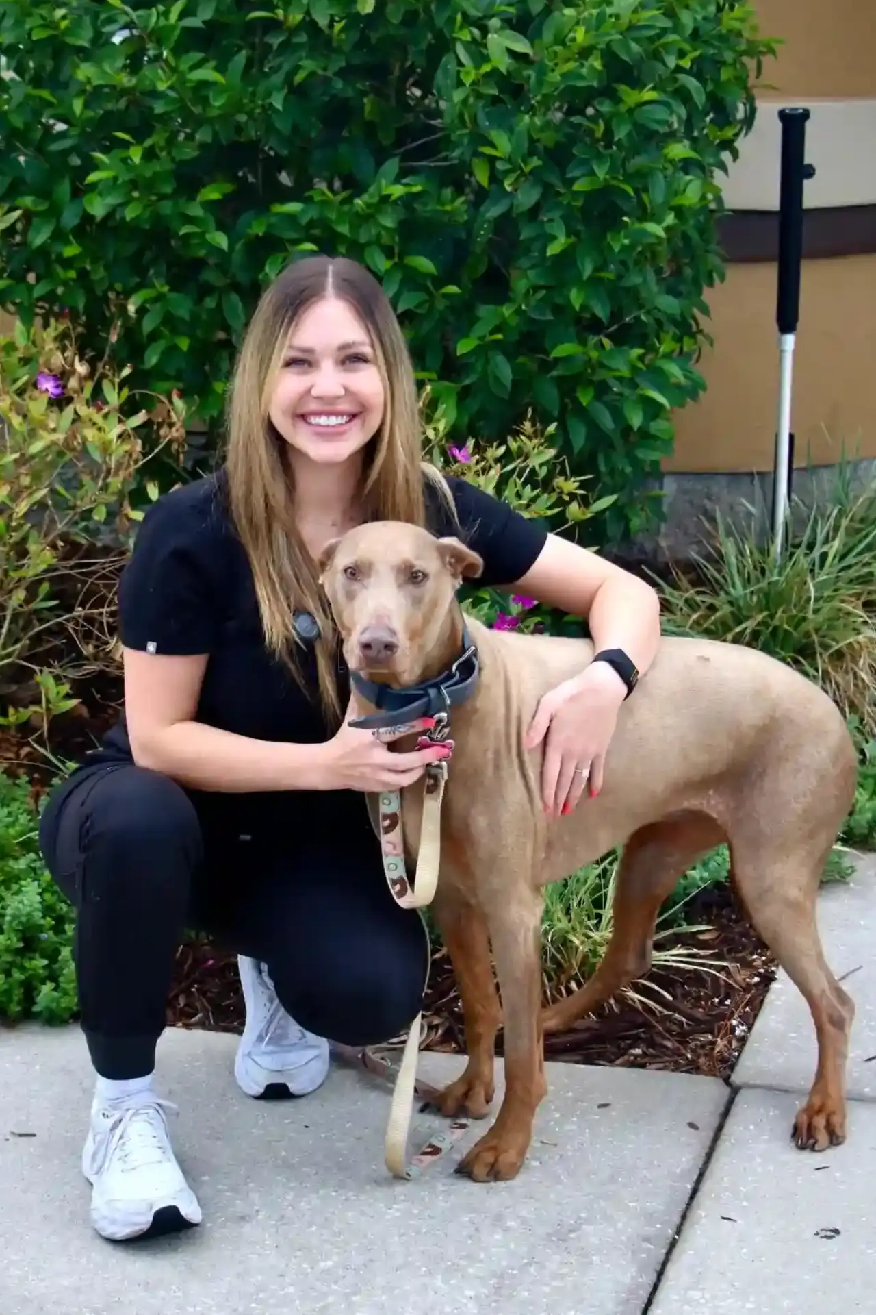 Dr. Sierra Steger